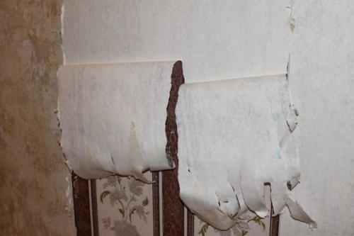 Как очистить стены от краски своими руками. Метод 3 Метод 3 из 3: Удаление краски с деревянных стен техническим феном 15 Как очистить стены от краски своими руками. Метод 3 Метод 3 из 3: Удаление краски с деревянных стен техническим феном 15