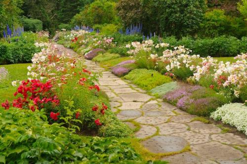 Миксбордеры вдоль забора. Вечноцветущий миксбордер