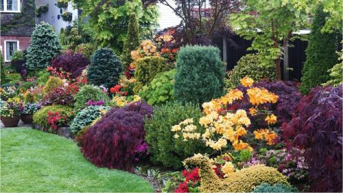 Миксбордеры вдоль забора. Вечноцветущий миксбордер