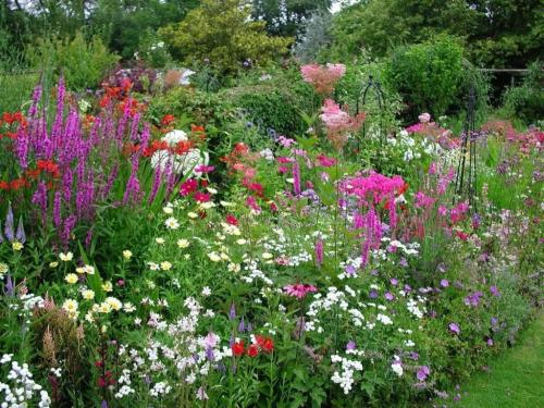 Миксбордер с гортензией схемы. Вечноцветущий миксбордер