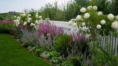 Миксбордер с гортензией схемы. Вечноцветущий миксбордер