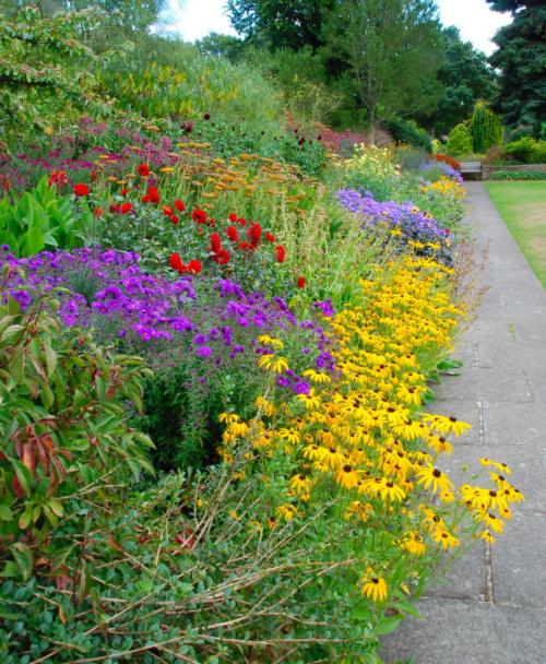 Схема миксбордера у забора. Какие бывают виды? 04 Схема миксбордера у забора. Какие бывают виды? 04