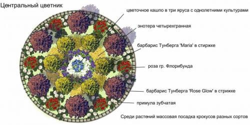 Миксбордер с гортензией схемы. Готовые схемы красивых клумб разной формы из многолетних цветов в Подмосковье для начинающих