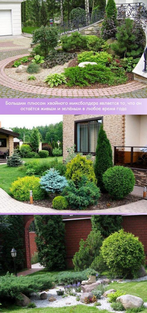 Готовые схемы хвойных клумб. Преимущества