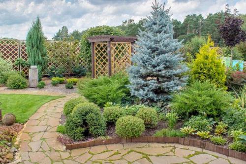 Готовые схемы хвойных клумб. Преимущества