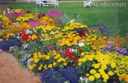 Миксбордеры из многолетников своими руками. Планировка смешанного бордюра 02 Миксбордеры из многолетников своими руками. Планировка смешанного бордюра 02