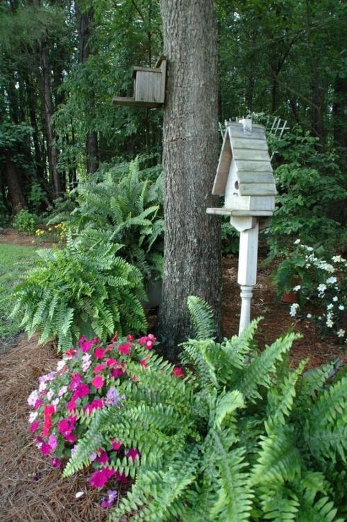 Миксбордер схемы посадки. Миксбордеры из многолетников: фото и схемы