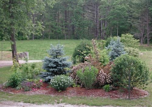 Миксбордер из многолетников: схемы. Миксбордеры из многолетников: фото и схемы