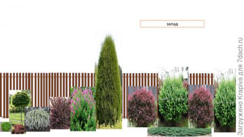 Миксбордер вдоль забора. Нужна помощь по оформлению миксбордера вдоль забора