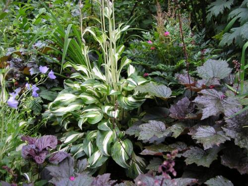 Как создать миксбордер своими руками. Правила выбора и посадки растений