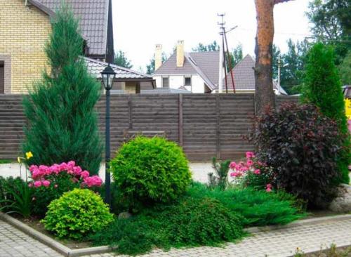 Как создать миксбордер своими руками. Правила выбора и посадки растений 04