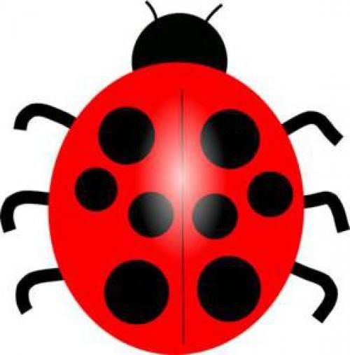 Изготовление Божьей коровки из пластиковой бутылки: ручная работа 17