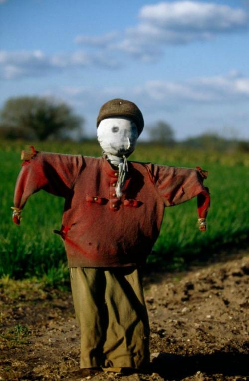 Страшное пугало своими руками. Как сделать пугало для огорода: 165 фото простых и красивых идей, как сделать своими руками чучело