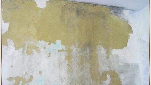 Клеенка на тканевой основе для стен. Оклеивание плёнкой разных материалов