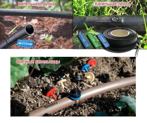 Вечный капельный полив: экономия воды и усиление роста растений 22