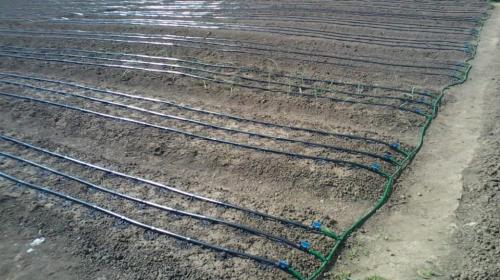 Как обеспечить защиту системы вечного капельного полива от засорения. Капельный полив: требования к воде при орошении