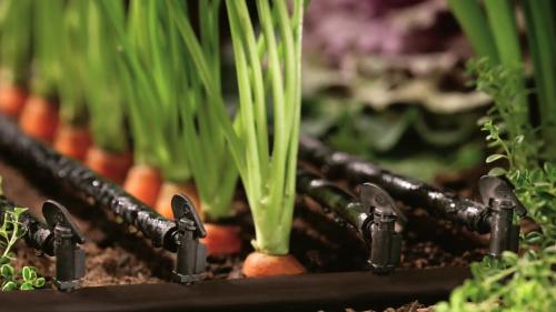 Как обеспечить защиту системы вечного капельного полива от засорения. Капельный полив: требования к воде при орошении