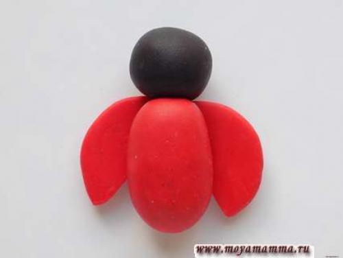 Божья коровка из пластилина. Как слепить божью коровку из пластилина