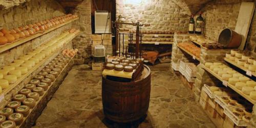 Какие материалы наиболее устойчивы к влаге и влажности в погребе. Потенциальный пол в погребе: какой лучше, надежнее, долговечнее?