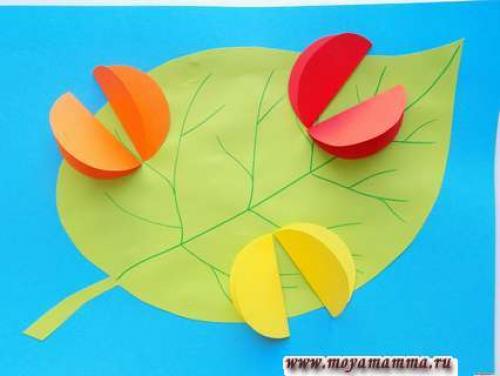Объемная божья коровка из бумаги. Как сделать объемную аппликацию с божьими коровками