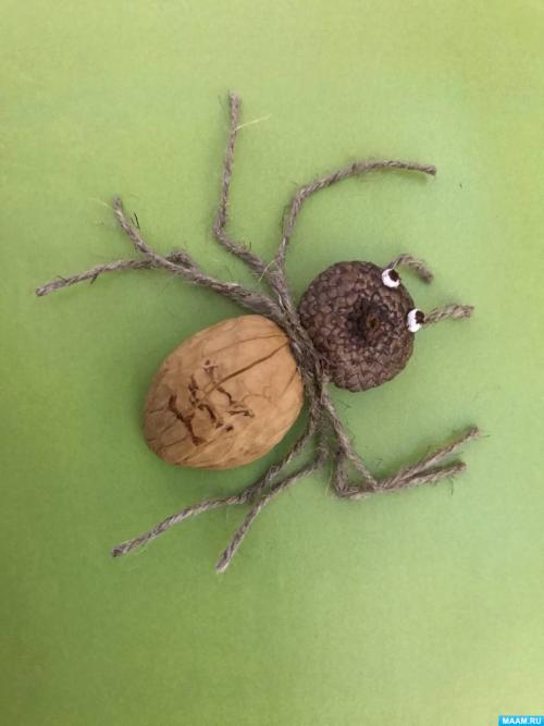 Поделка божья коровка из ореховой скорлупы. Орехи. Поделки из скорлупы