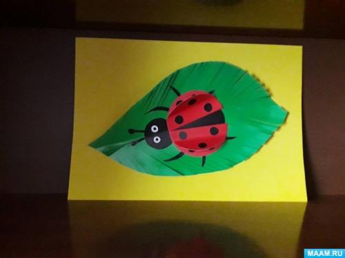 Божья коровка из бумаги пошагово. Мастер-класс по объемной аппликации из цветной бумаги «Божья коровка» (10 фото)