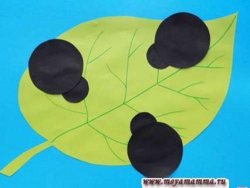 Объемная божья коровка из бумаги. Как сделать объемную аппликацию с божьими коровками