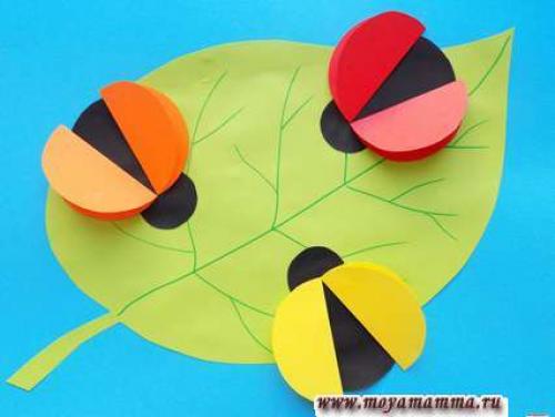 Объемная божья коровка из бумаги. Как сделать объемную аппликацию с божьими коровками