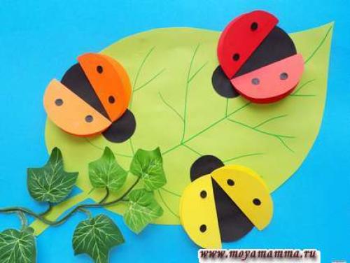 Объемная божья коровка из бумаги. Как сделать объемную аппликацию с божьими коровками