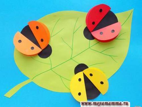Объемная божья коровка из бумаги. Как сделать объемную аппликацию с божьими коровками