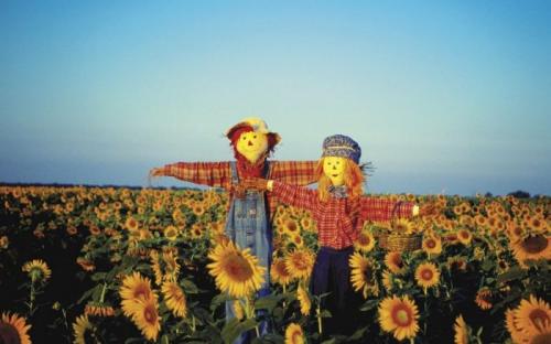 Пугало огородное своими руками. Как сделать пугало для огорода: 165 фото простых и красивых идей, как сделать своими руками чучело