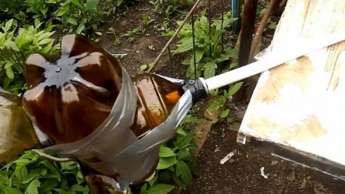 Пугало от птиц своими руками. Процесс изготовления чучела птицы