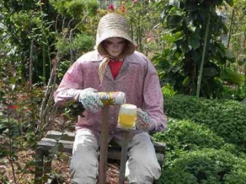 Красивое пугало своими руками. Как получить от чучела максимальный эффект