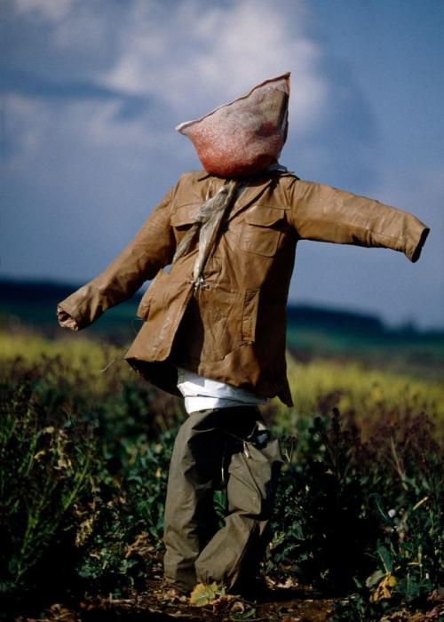 Пугало огородное своими руками. Как сделать пугало для огорода: 165 фото простых и красивых идей, как сделать своими руками чучело