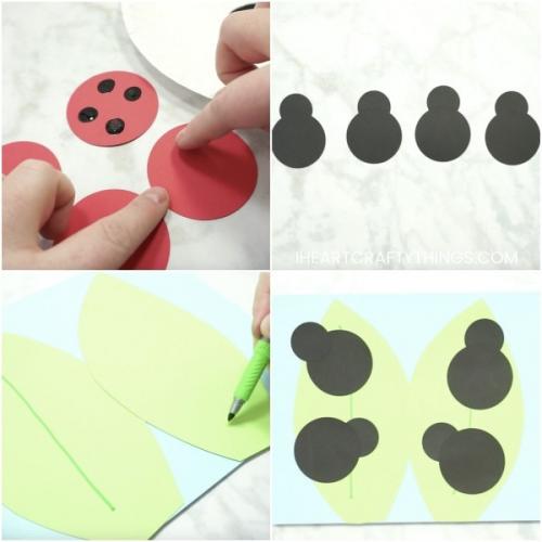 How to Make a Ladybug for school Project. How to Make a Paper Ladybug Craft