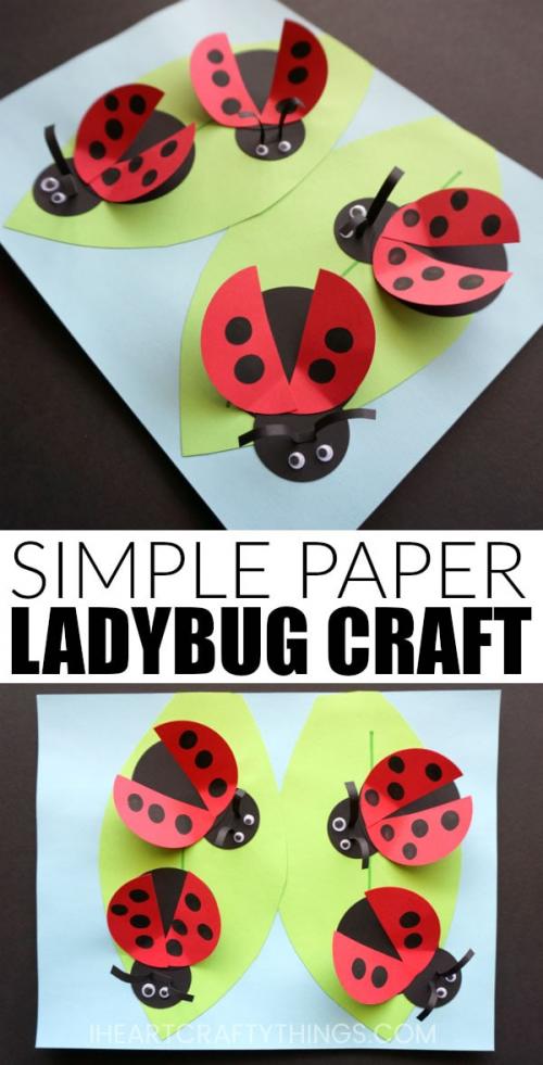 How to Make a Ladybug for school Project. How to Make a Paper Ladybug Craft