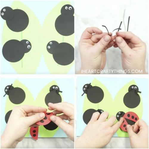 How to Make a Ladybug for school Project. How to Make a Paper Ladybug Craft