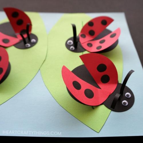 How to Make a Ladybug for school Project. How to Make a Paper Ladybug Craft