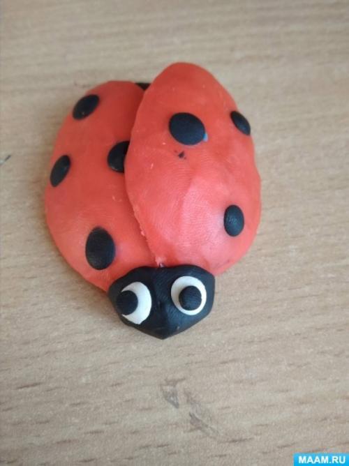 Божьи коровки из пластиковых ложек своими руками. Мастер-класс «Божья коровка из пластиковой ложки» для среднего и старшего дошкольного возраста