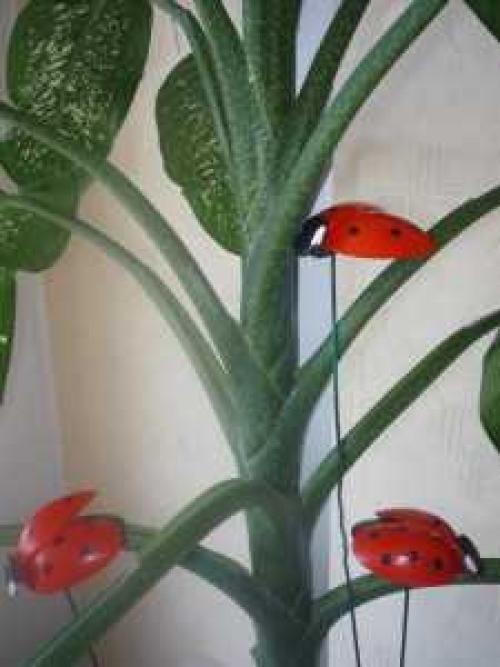 Создайте свои собственные Божьи коровки из пластиковых ложек: простой и дешевый способ украсить вашу комнату 37