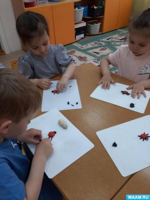 Божья коровка из пластилина. Мастер-класс по лепке «Божья коровка» из пластилина во второй младшей группе (3 фото)