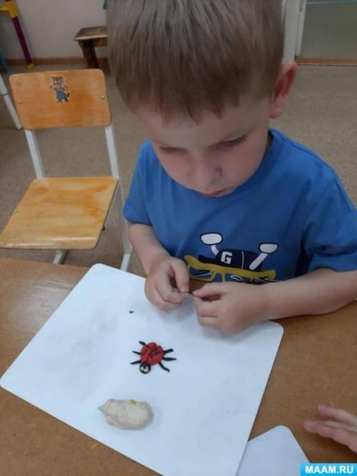 Божья коровка из пластилина. Мастер-класс по лепке «Божья коровка» из пластилина во второй младшей группе (3 фото)