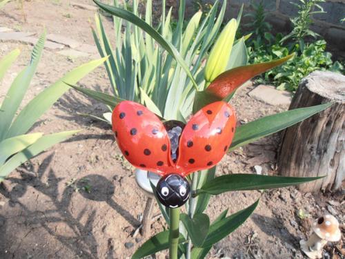 Божья коровка из пластиковых бутылок. Божьи коровки из бутылок. Божья коровка из пластиковых бутылок – красота, которая может быть создана вашими руками! Пуфик из пластиковых бутылок