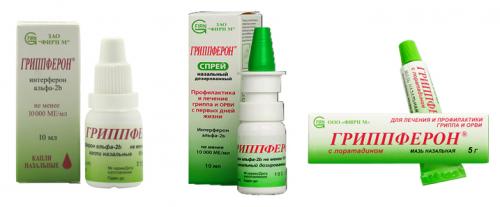 Как правильно ухаживать за миксбордером. Правильное питание