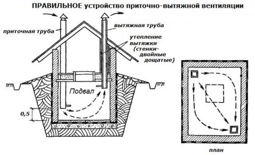 Как выбрать подходящий дизайн для отделки подвала. Использование подвала в качестве кладовой