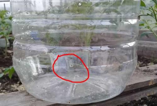 Как сделать капельный полив для огорода своими руками. Добавление статьи в новую подборку 04 Как сделать капельный полив для огорода своими руками. Добавление статьи в новую подборку 04