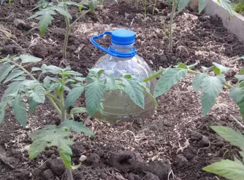 Как сделать капельный полив для огорода своими руками. Добавление статьи в новую подборку 03 Как сделать капельный полив для огорода своими руками. Добавление статьи в новую подборку 03