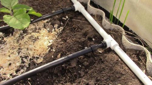 Капельный полив своими руками из пластиковых труб. Как сделать капельный полив из ПВХ труб