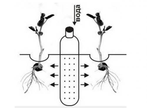 Капельный полив в домашних условиях своими руками. Как сделать капельный полив для сада и огорода из пластиковых бутылок