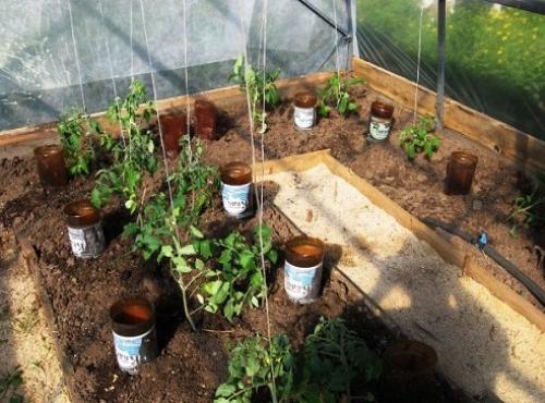 Капельный полив в домашних условиях своими руками. Как сделать капельный полив для сада и огорода из пластиковых бутылок